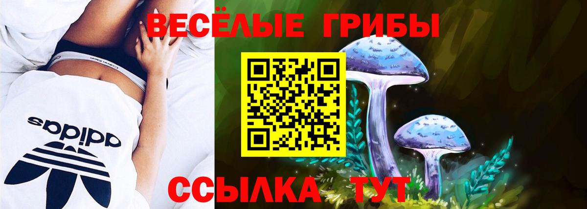 Псилоцибиновые грибы Cubensis Якутск